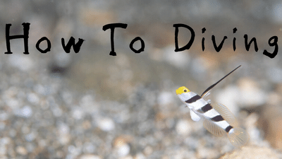 SAC率を使用したより正確な空気消費量の計算方法：How to Diving