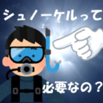 シュノーケルって必要?【善し悪しを比較】