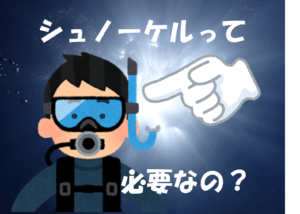 シュノーケルって必要?【善し悪しを比較】