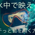マスク美人になる方法【このブログで一番有用な記事】