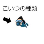 水中カメラで何を撮る?【ダイビングスタイル】