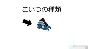 水中カメラで何を撮る?【ダイビングスタイル】