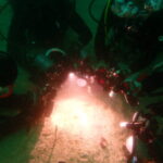 220529 富戸ヨコバマ 「またしてもレアもの」