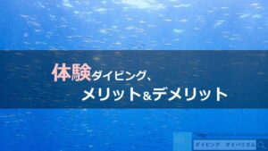体験ダイビングって必要？　【メリット＆デメリット】