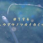 221026 黄金崎 「リュウグウノツカイカイナカ」