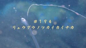 221026 黄金崎 「リュウグウノツカイカイナカ」